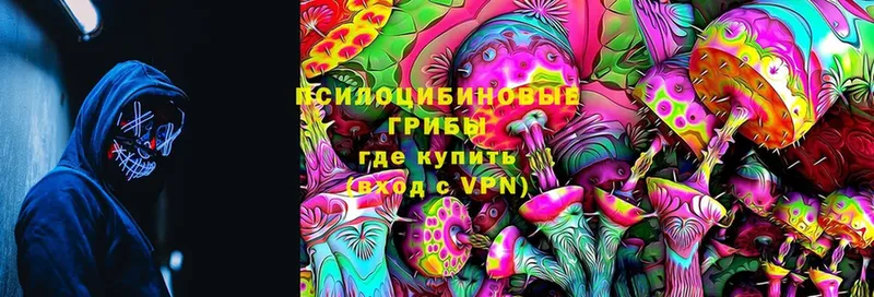 Галлюциногенные грибы Cubensis  Асино 